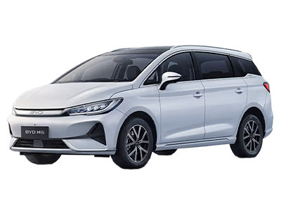 BYD M6